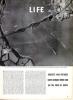 German Planes at the Firth of Forth, Page 1